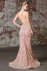 Long Formal Fitted Glitter Lace Prom Dress